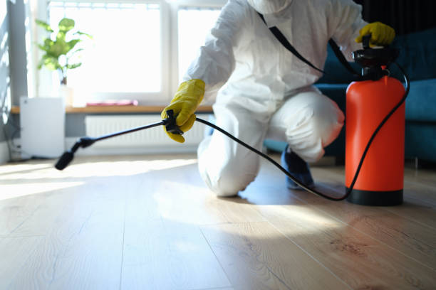 Reliable Sewage Cleanup contractor in Richland, GA by Trauma Clean Pros
